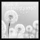 Dandelions - Slowed and Reverb