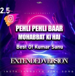Pehli Pehli Baar Mohabbat Ki Hai (Remix) - Vikonthebeat