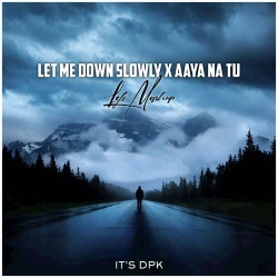 Let Me Down Slowly X Aaya Na Tu (Lofi Mix)