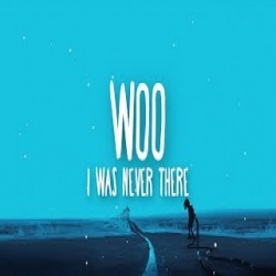 I Was Never There X Woo