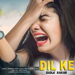 Dil Ke Badle Sanam (New Version Cover)