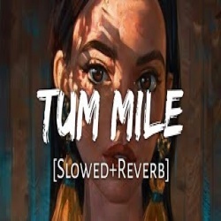 Tum Mile Slowed and Reverb