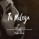 Tu Mileya Lofi Mix (Female Version)