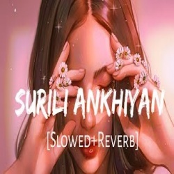 Surili Akhiyon Wale Lofi Mix (Slowed and Reverb)