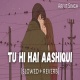 Tu Hi Hai Aashiqui Lofi Mix (Slowed and Reverb)