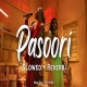 Pasoori Lofi Mix (Slowed and Reverb)