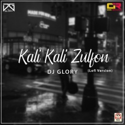 Kali Kali Zulfon Lofi Version Mix (Slowed and Reverb)