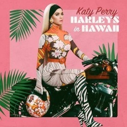 Harleys In Hawaii Lofi Mix - (Slowed and Reverb)